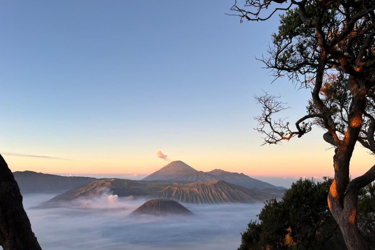 A shared travel Ijen Bromo tour from Bali - end in Surabaya/ Yogyakarta 3D A shared travel Ijen Bromo tour from Bali - end in Surabaya or Yogyakarta 3D A shared travel package to Ijen Bromo tour from Bali - end in Surabaya or Yogyakarta for holiday trip on budget 3D2N - #1 traveler can join! Ijen to Bromo Tour