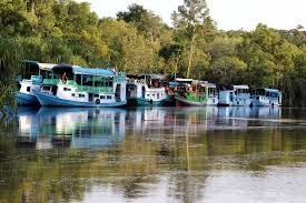 Amazing rare experience of Borneo orangutan and houseboat river cruise tour from Bali 3D Amazing rare experience of Borneo orangutan and houseboat river cruise tour from Bali 3D2N Fly from Bali to Pangkalan Bun airport for amazing rare experience of Borneo orangutan and houseboat river cruise tour within 3 days 2 nights holiday trip  Ijen to Bromo Tour