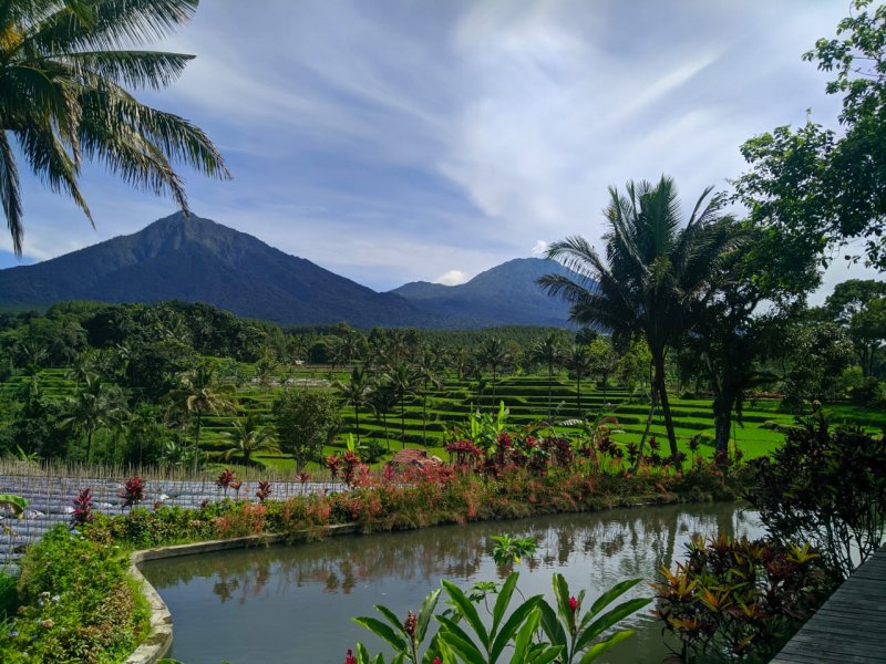 Bromo Sunrise & Savanna to Kalibaru Ijen Tours Bali 4D Sunrise view and Bromo savanna to Kalibaru then Ijen crater tour - Bali 4D I Bromo Ijen crater tour Java expedition adventure tour package for 4 days trip from Malang or Surabaya to sunrise view, Bromo tour, Kalibaru plantation tour, Ijen tour and to Bali Ijen to Bromo Tour