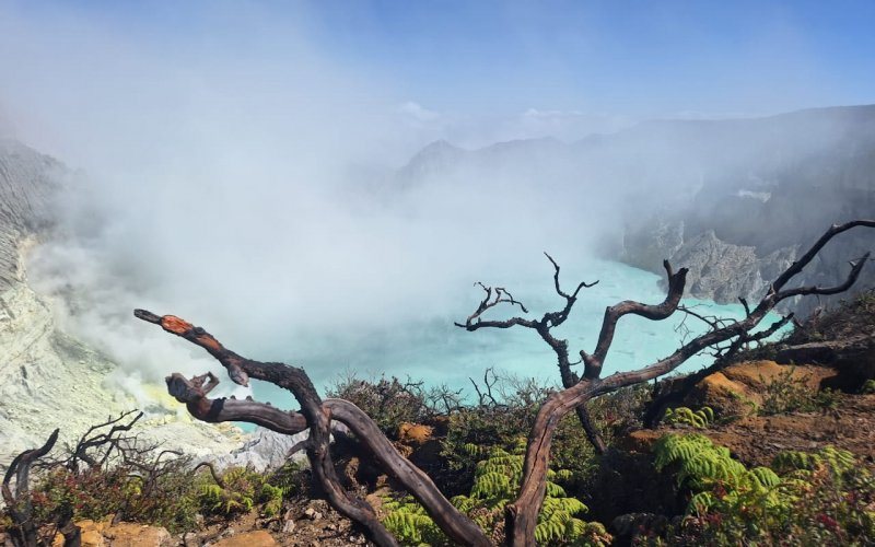 Mount Bromo Tour From Surabaya Mount Bromo Tour From Surabaya - Ijen to Bromo Tour Ijen to Bromo Tour