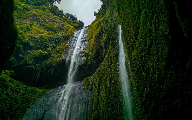 Optional trip package for Madakaripura Waterfall tours - Ijen to Bromo tour Optional trip package for Madakaripura Waterfall tours I Ijen Bromo tour package Ijen to Bromo Tour