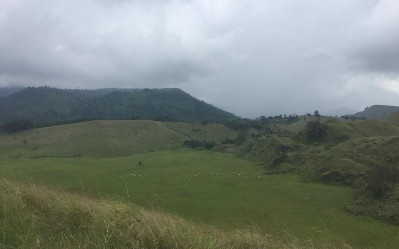 Optional trip package for Savannah Bromo tours - Ijen to Bromo tour Savannah Bromo tours for your optional trip package of Ijen Bromo tour holiday Ijen to Bromo Tour