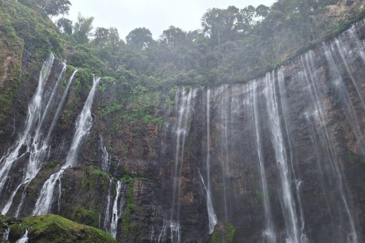 Shared travel package from Bali to Ijen - Bromo, and Tumpak Sewu tour,- Banyuwangi 4D Shared travel package from Bali to Ijen - Bromo, and Tumpak Sewu tour 4D3N 4-Day, 3-Night trip of group holiday tour package from Bali to Ijen, Bromo, Tumpak Sewu, and end in Banyuwangi I #1 tourist can join  Ijen to Bromo Tour
