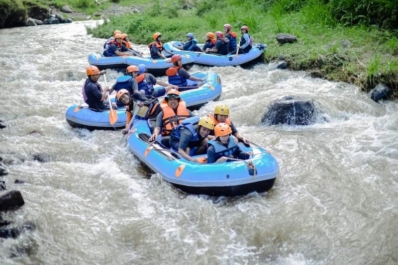 Yogya travel to Borobudur, Jodipan village, Tumpak Sewu, Bromo, Kalibaru and Ijen tours and to Bali 7D Yogya travel package to Borobudur, Jodipan village, Tumpak Sewu, Bromo, Kalibaru and Ijen tours and to Bali 7D Yogya travel to Borobudur, Solo heritage, Jodipan village Malang, Tumpak Sewu, Bromo, Kalibaru, Songgon rafting and Ijen crater tours and to Bali within 7 days  Ijen to Bromo Tour