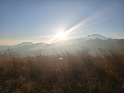 Sukamade beach, Ijen crater, Bromo, and Kalibaru plantation tour from Bali 5D Ijen to Bromo Tour