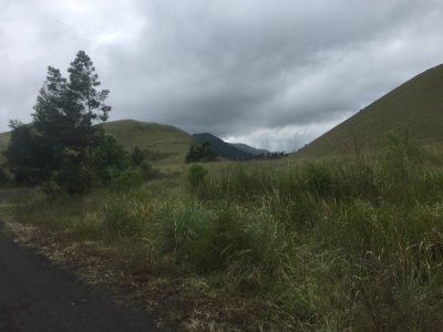 Tour to colorful house Malang to Bromo, Ijen crater and Sukamade beach tours 4D Ijen to Bromo Tour